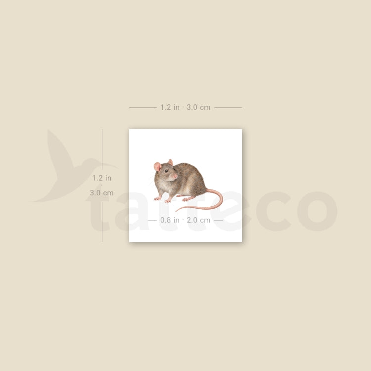 Watercolor Rat Temporary Tattoo - Set of 3