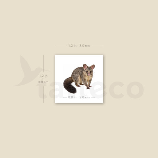Possum Temporary Tattoo - Set of 3