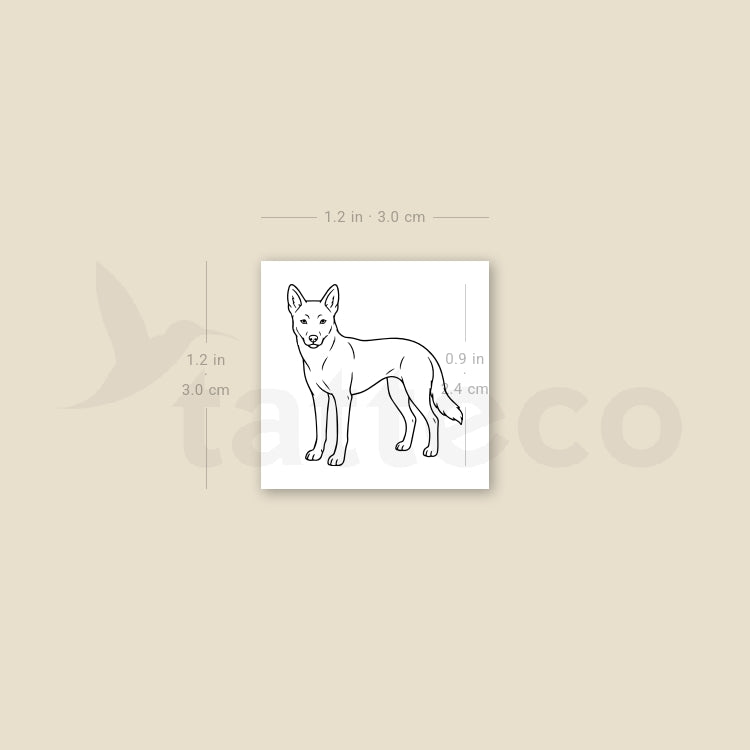 Dingo Temporary Tattoo - Set of 3