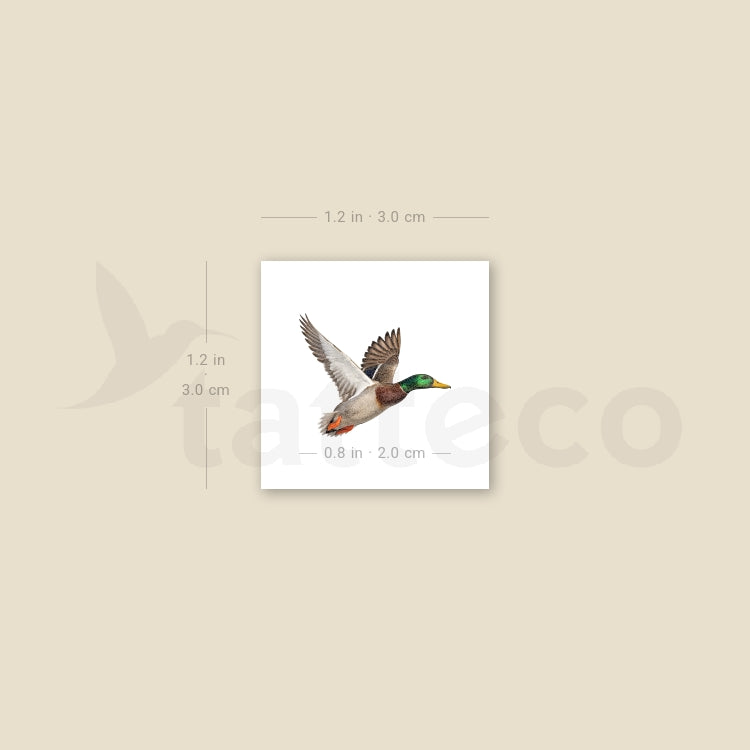 Flying Duck Temporary Tattoo - Set of 3