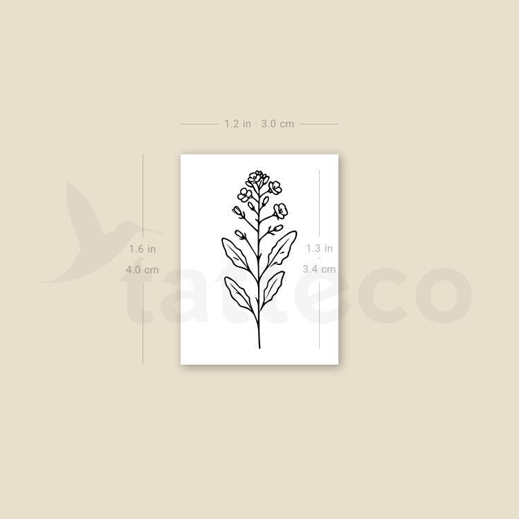 mustard seed plant tattoo Mustard Plant Temporary Tattoo