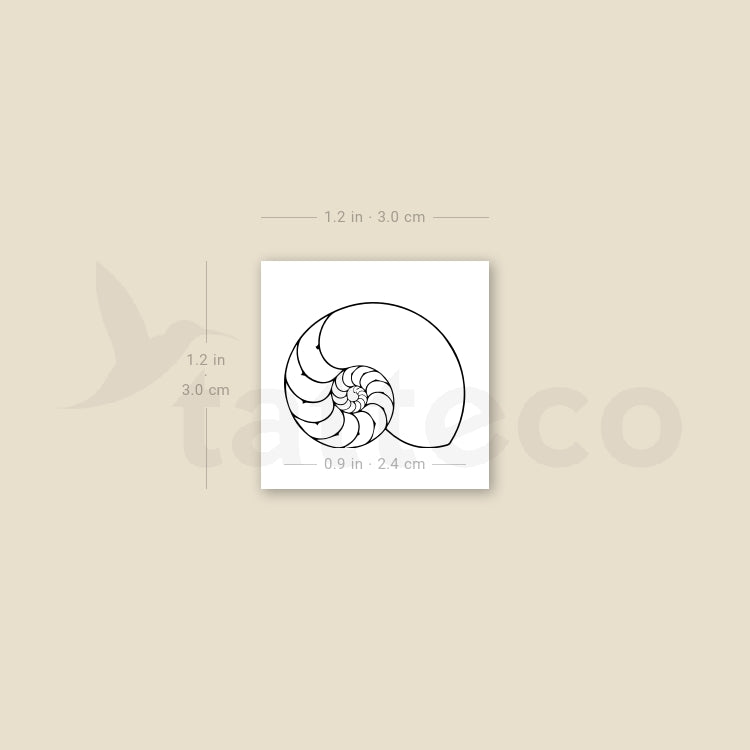 Tatuaje temporal de concha de nautilus - Juego de 3