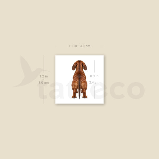 Dachshund Back View Temporary Tattoo - Set of 3
