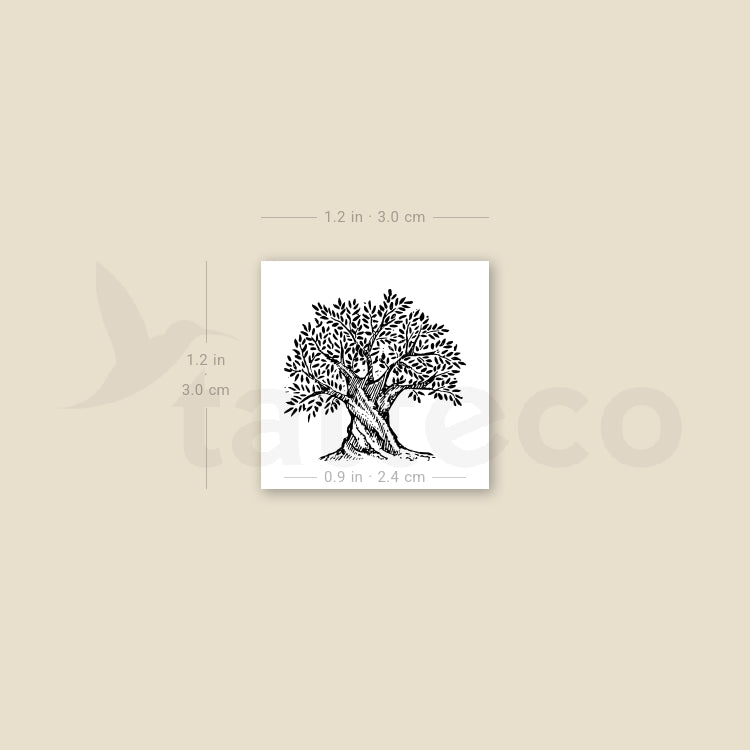 Tatuaje temporal de olivo - Juego de 3