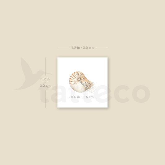 Nautilus Temporary Tattoo - Set of 3