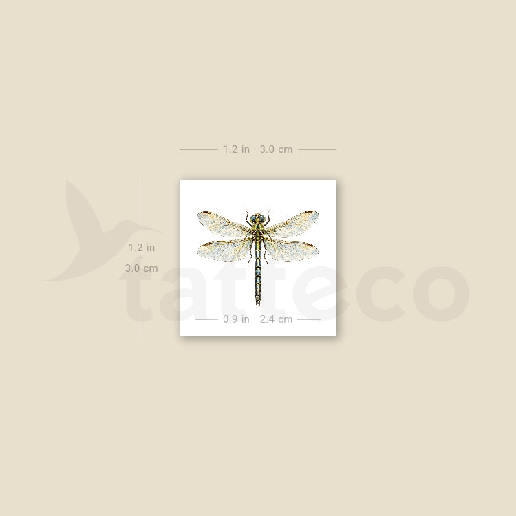 Watercolor Dragonfly Temporary Tattoo - Set of 3