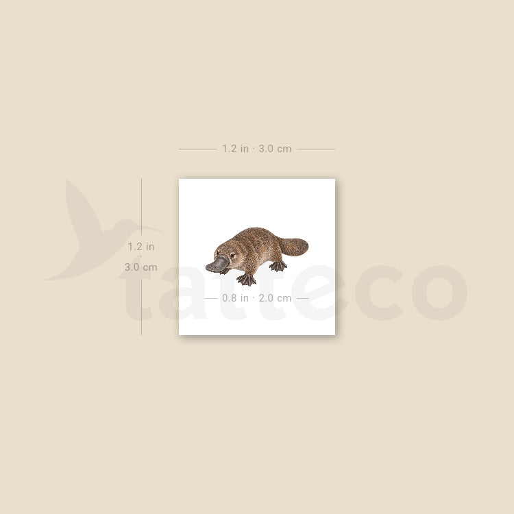 Small Platypus Temporary Tattoo - Set of 3