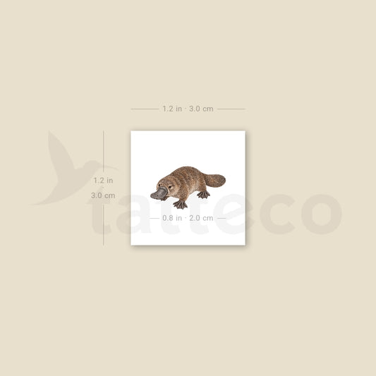 Small Platypus Temporary Tattoo - Set of 3