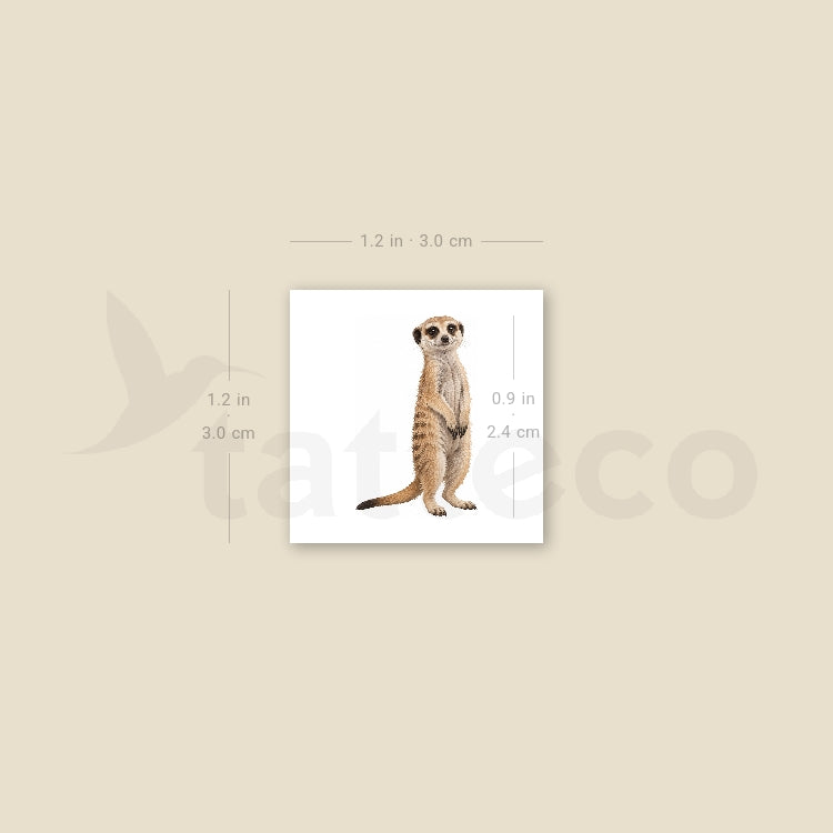Suricate Temporary Tattoo - Set of 3