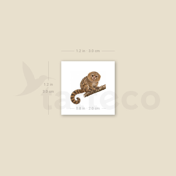 Pygmy Marmoset Temporary Tattoo - Set of 3