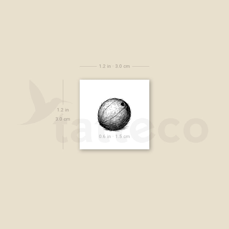 Tatuaje temporal de coco - Juego de 3