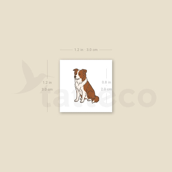 Chocolate Border Collie Temporary Tattoo - Set of 3
