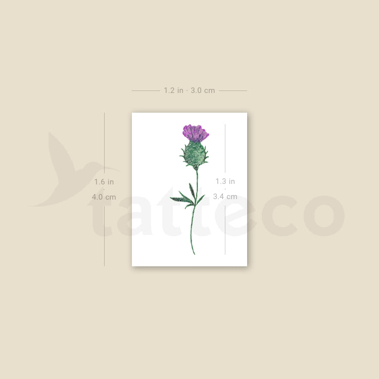 Thistle Temporary Tattoo - Set of 3