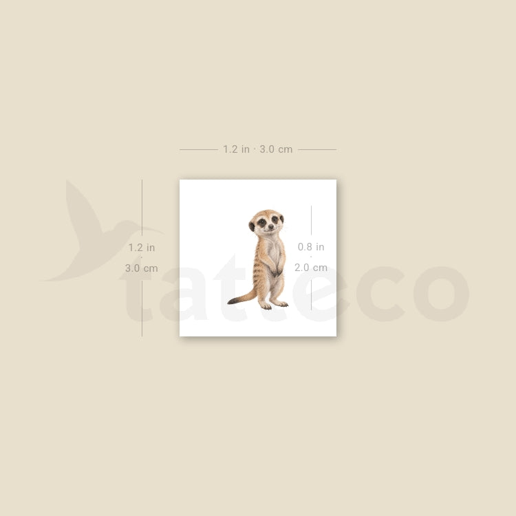 Baby Meerkat Temporary Tattoo - Set of 3