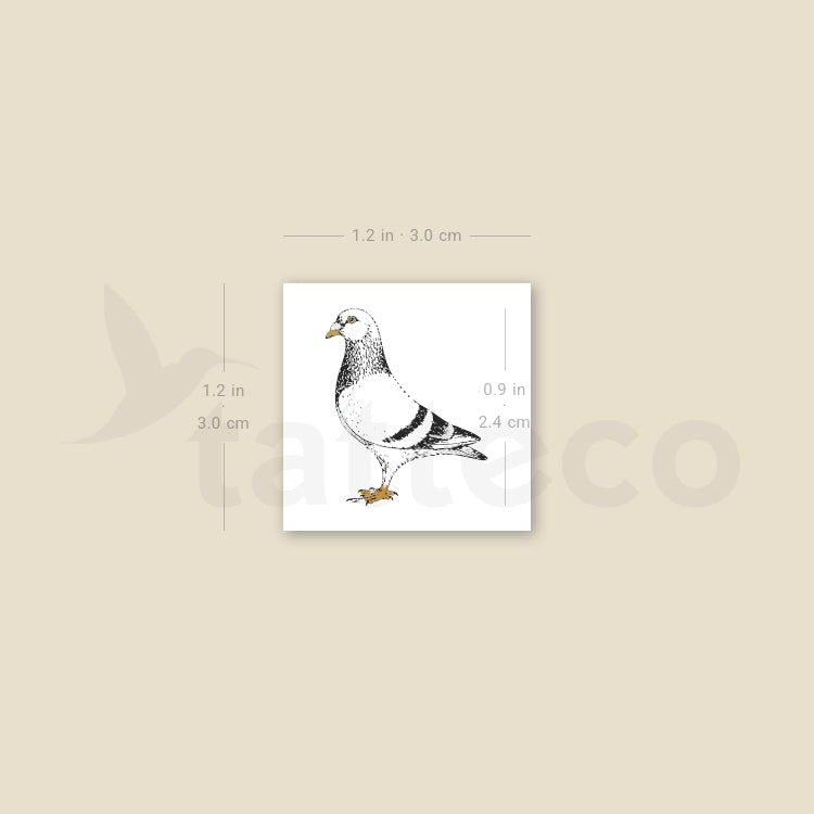 NYC Pigeon Temporary Tattoo - Set of 3
