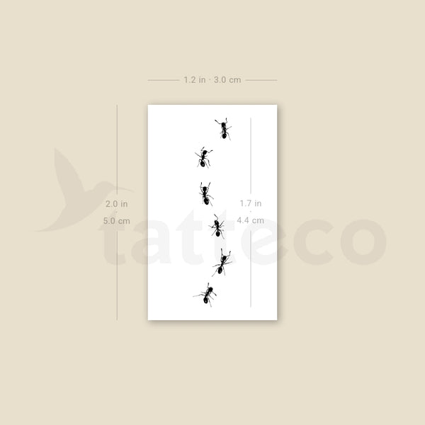 Ant Stock Temporary Tattoo - Set of 3