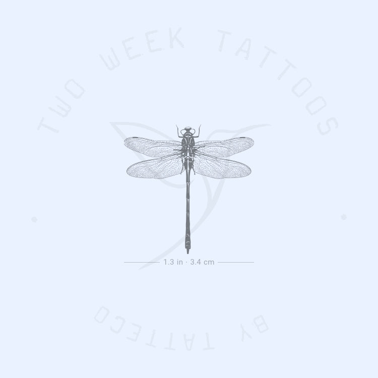 Illustrative Dragonfly Semi-Permanent Tattoo - Set of 2