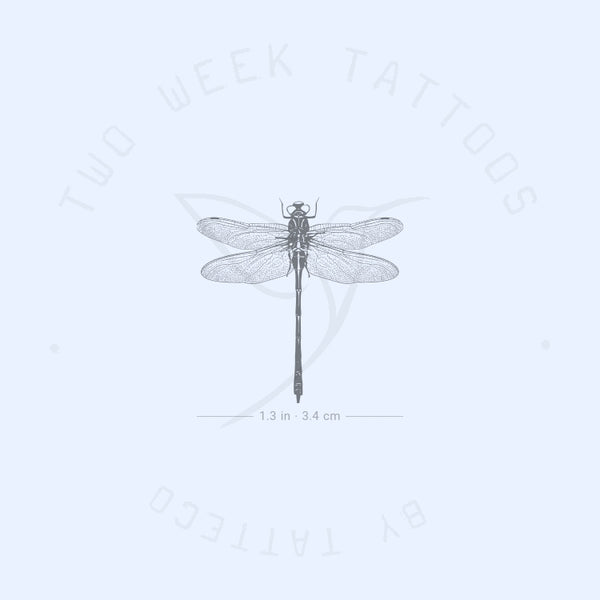 Illustrative Dragonfly Semi-Permanent Tattoo - Set of 2