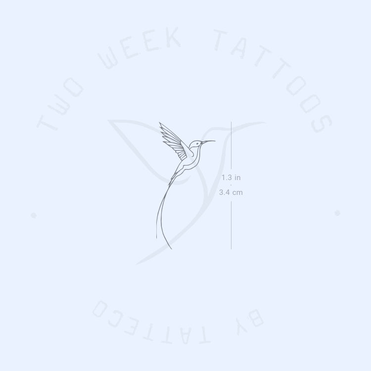 Small Long-tailed Sylph Hummingbird Semi-Permanent Tattoo - Set of 2