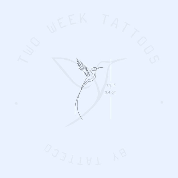 Small Long-tailed Sylph Hummingbird Semi-Permanent Tattoo - Set of 2