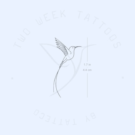 Long-tailed Sylph Hummingbird Semi-Permanent Tattoo - Set of 2