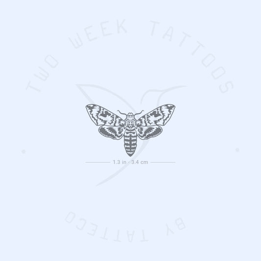 Moth Semi-Permanent Tattoo - Set of 2