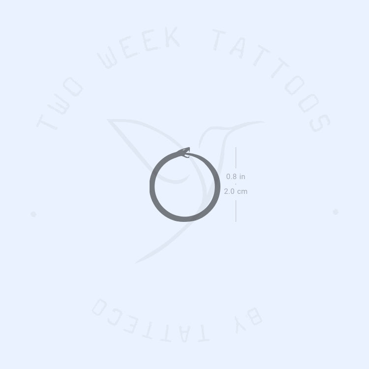 Minimalist Ouroboros Semi-Permanent Tattoo - Set of 2