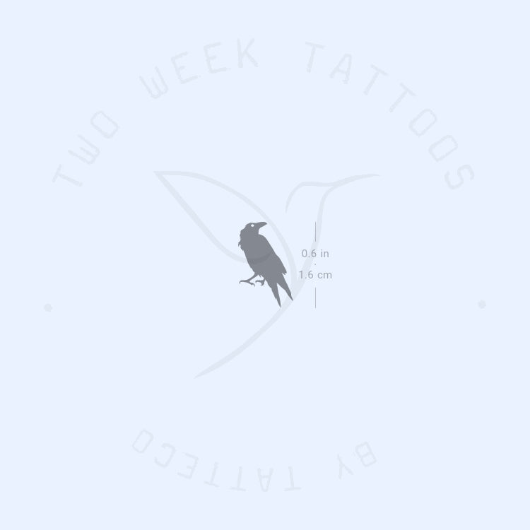 Tatuaje semipermanente de cuervo - Juego de 2