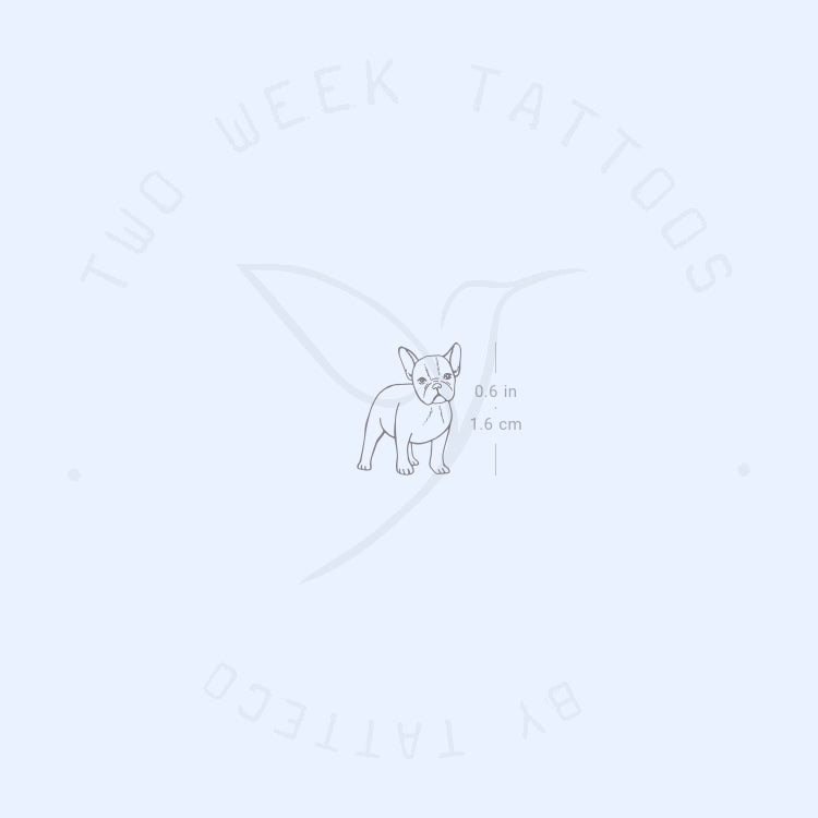 Tiny French Bulldog Semi-Permanent Tattoo - Set of 2