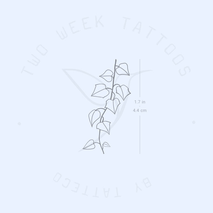 Ivy Plant Semi-Permanent Tattoo - Set of 2
