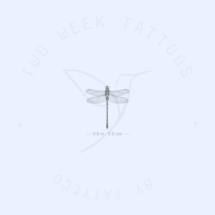Little Dragonfly Semi-Permanent Tattoo - Set of 2