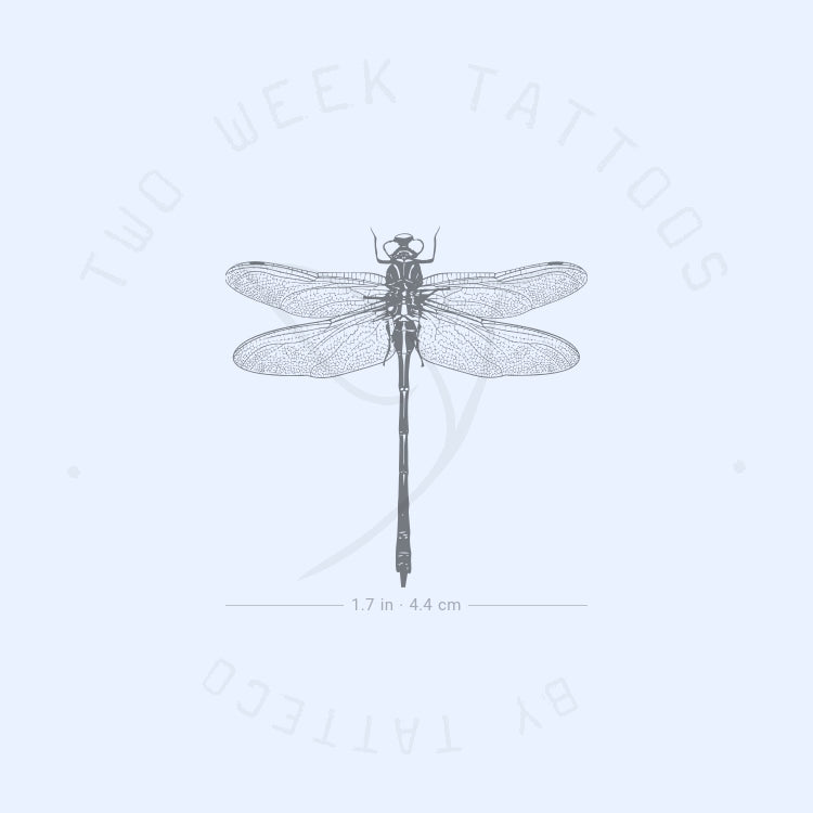 Dragonfly Semi-Permanent Tattoo - Set of 2