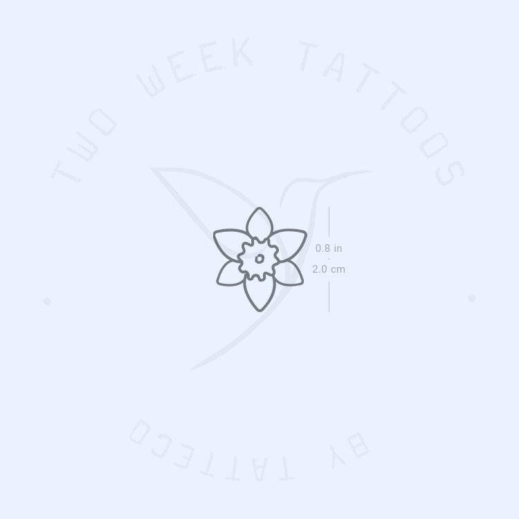 Tatuaje semipermanente de narciso - Juego de 2