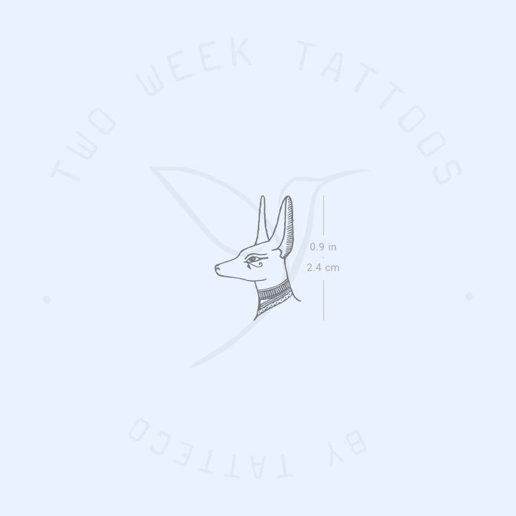 Tatuaje semipermanente de Anubis - Juego de 2