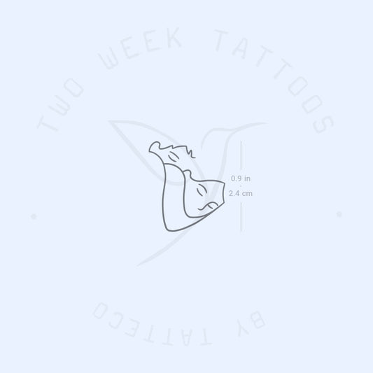 Tatuaje semipermanente Siesta - Juego de 2