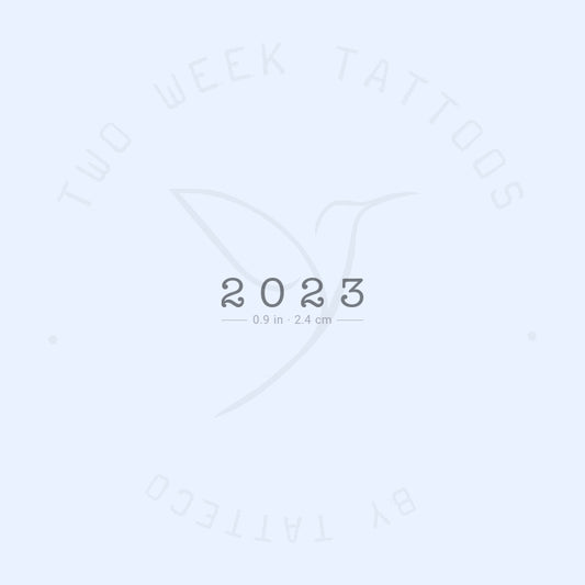 Tatuaje semipermanente 2023 - Juego de 2
