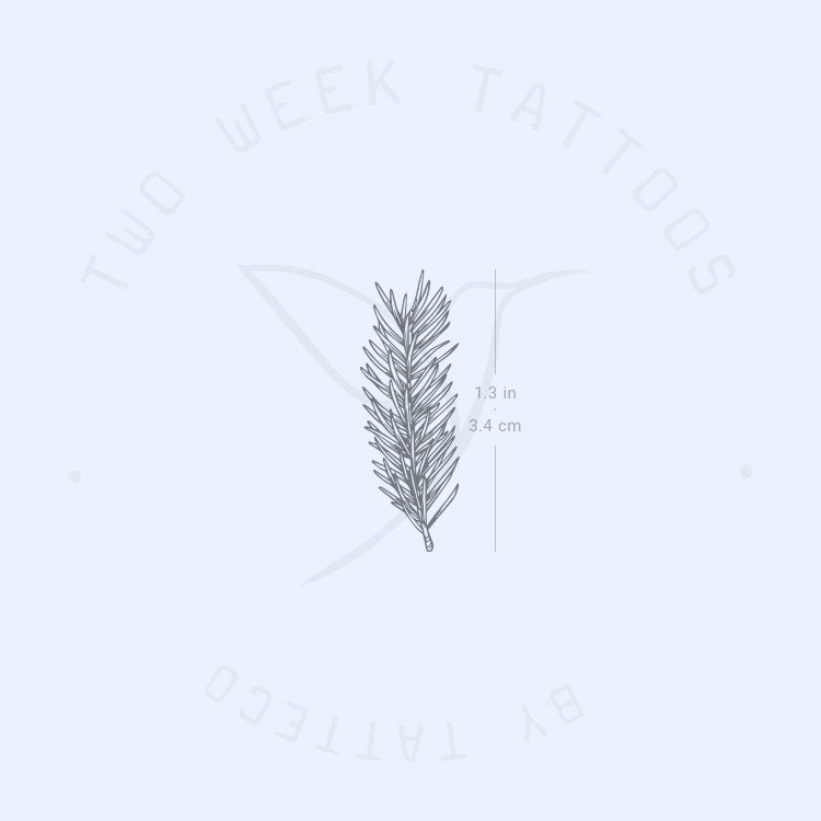 Rosemary Semi-Permanent Tattoo - Set of 2