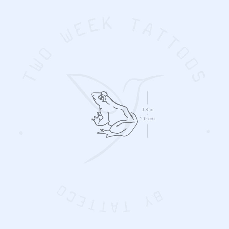 Tatuaje semipermanente de rana - Juego de 2