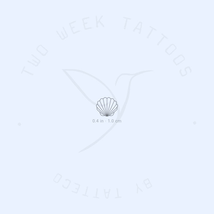 Tiny Scallop Shell Semi-Permanent Tattoo - Set of 2