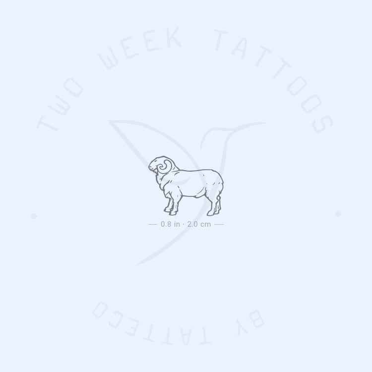 Tatuaje semipermanente de carnero - Juego de 2