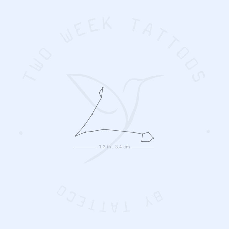 Small Pisces Constellation Semi-Permanent Tattoo - Set of 2