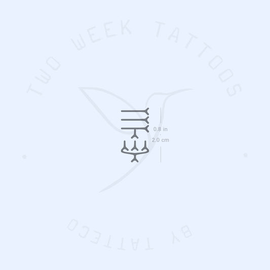 Tatuaje semipermanente pequeño y hermoso de error (juego de 2)