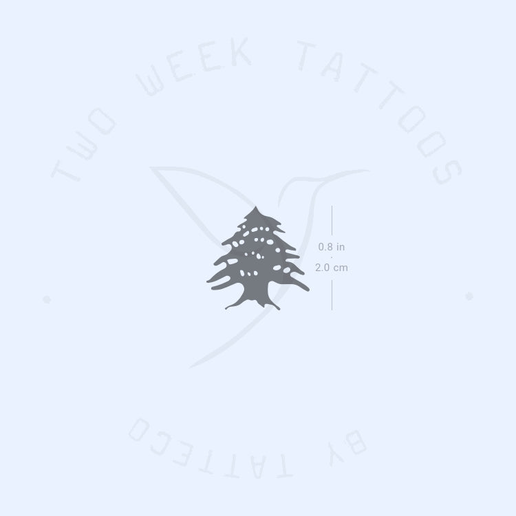 Tatuaje semipermanente de cedro - Juego de 2