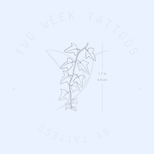 Common Ivy Plant Semi-Permanent Tattoo - Set of 2