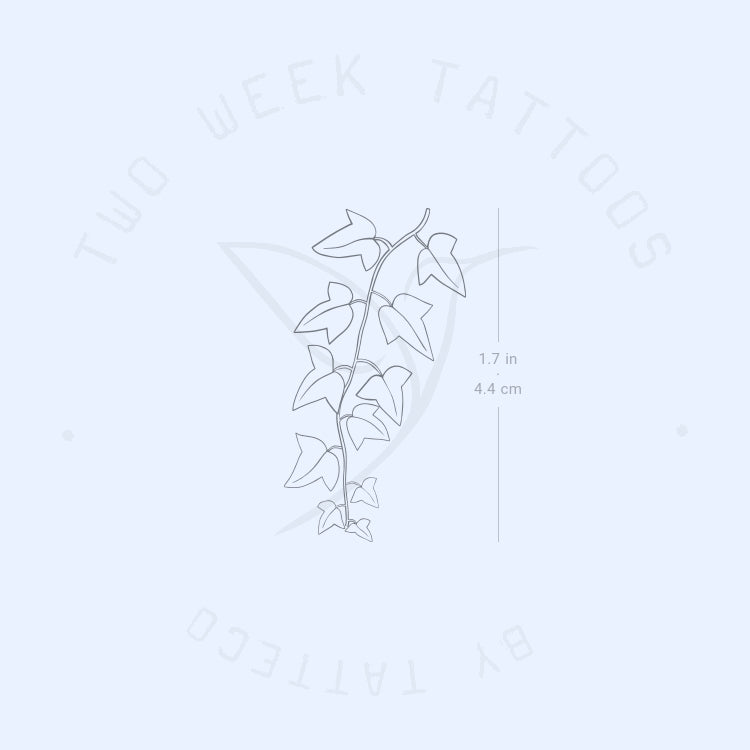Common Ivy Plant Semi-Permanent Tattoo - Set of 2
