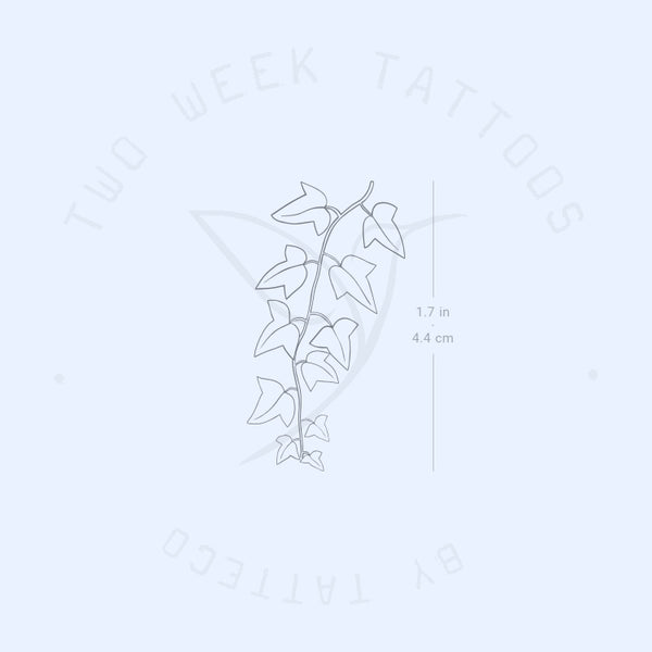 Common Ivy Plant Semi-Permanent Tattoo - Set of 2