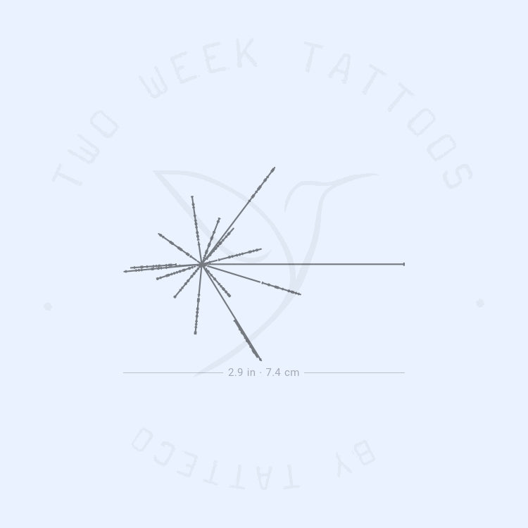 Pioneer Plaque Semi-Permanent Tattoo - Set of 2
