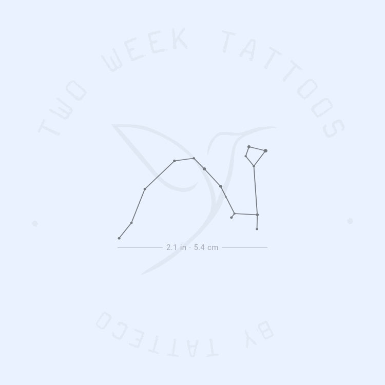 Draco Semi-Permanent Tattoo - Set of 2