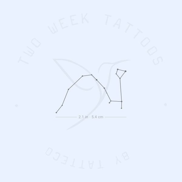 Draco Semi-Permanent Tattoo - Set of 2