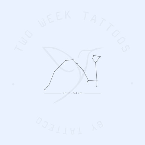 Draco Semi-Permanent Tattoo - Set of 2